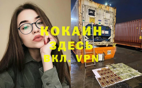 прущие грибы Арсеньев