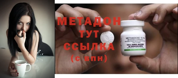 прущие грибы Арсеньев