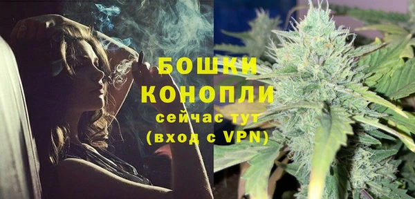 прущие грибы Арсеньев