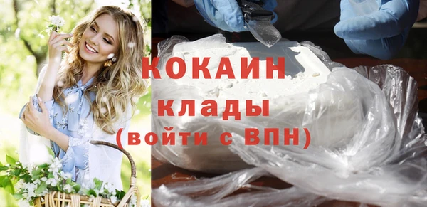 прущие грибы Арсеньев